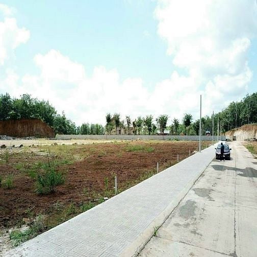 Bán đất chính chủ - Giá rẻ - View đẹp