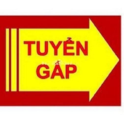 Cần tuyển lái xe tải có bằng B2 trở lên, đầy đủ chế độ, lương cao