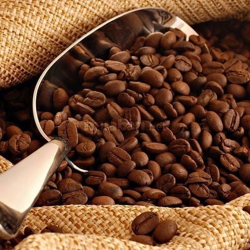 Việc làm thời vụ dành cho sinh viên