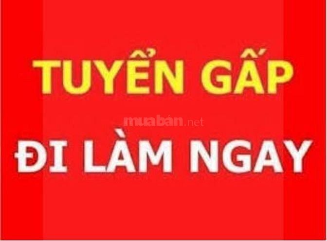 CTY CP QC THƯƠNG MẠI ĐỒNG XANH TUYỂN PHỤ KHO VÀ GIAO HÀNG 