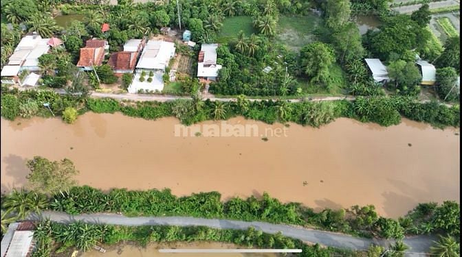 Bán nền 185m2 thổ cư 100% đường nhựa sát chợ Tân Mỹ-Thanh Bình; 5Tr/m2