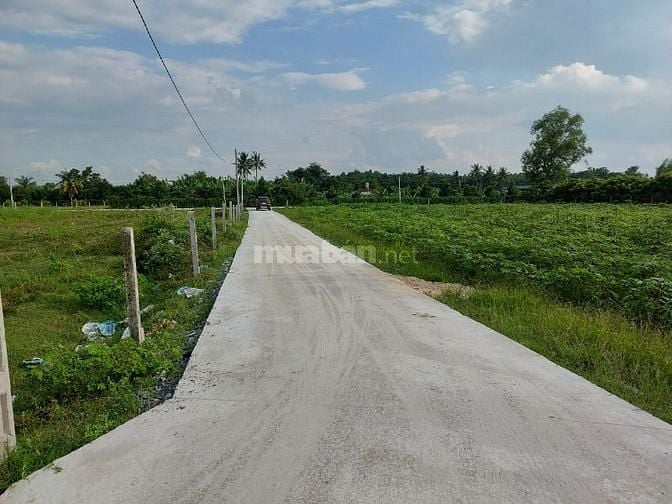 Tôi cần bán gấp 284m2 đất full thổ cư,đường bê tông,Gò Dầu Tây Ninh