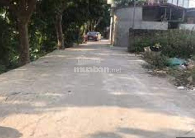 Siêu phẩm cho các nhà đầu tư, 365m2 thôn Hành Lạc, tt Như Quỳnh, HY