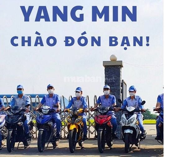 VP Công Ty YANG MIN Việt Nam tuyển dụng