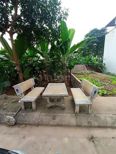 Bán nhanh đất tại Đồng Hoàng,phường Đồng Mai, quận Hà Đông, Hà Nội