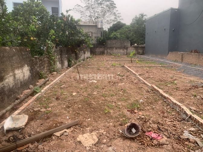 Bán đất  tại Đồng Hoàng, phường Đồng Mai, quận Hà Đông, Hà Nội