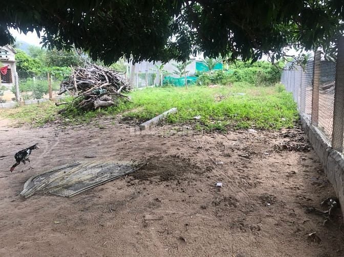 Đất chính chủ, khu dân cư, toàn bộ thổ cư, KT: 11.5m x 27m (304m2)