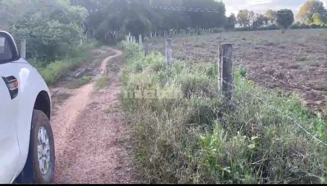 Bán 5458m2 đất xã hồng liêm, hàm thuận bắc 1,337 tỷ đường ô tô tận nơi