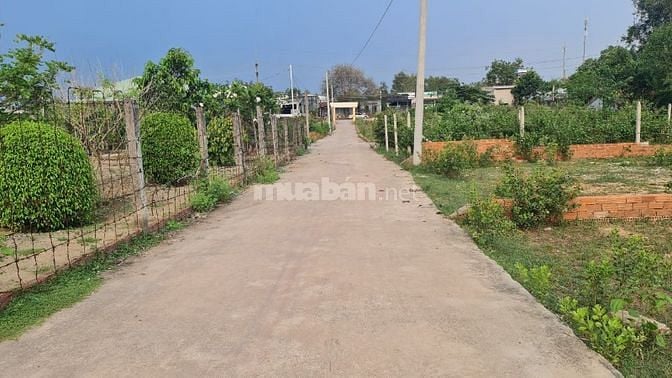 Giảm giá sốc 600tr HÀNG NGỘP THỞ 🤭 đất nền full thổ phú Đông