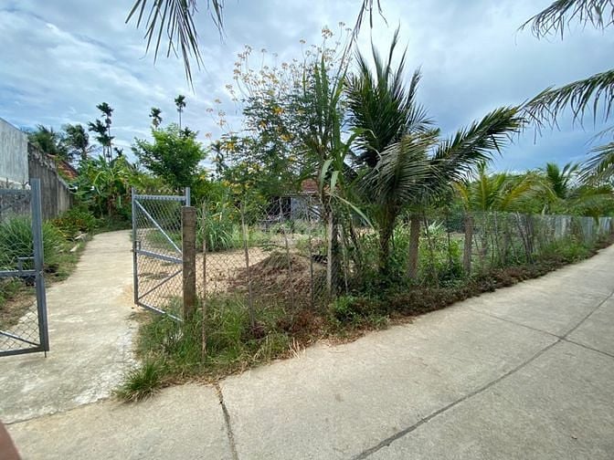 Bán đất xã Ninh Bình - Ninh Hoà. Dân cắt bán ngang 20m dài 30m
