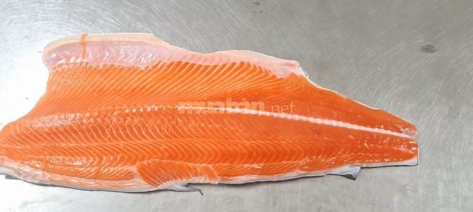 Cung cấp sỉ cá hồi fille miếng nhập khẩu Chile