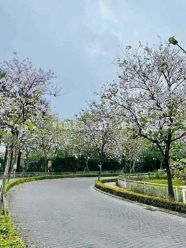 Bán biệt thự K7 lô góc 440m dự án ciputra hà nội