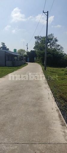 Giá rẻ có 102 tại Hòa Khánh Đông đất full thổ 102m2 giá 1,1 tỷ SHR