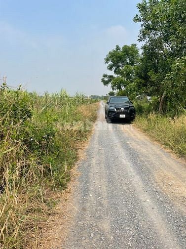 bán đất trồng cây lâu năm, Kênh 10, gần Tu Viện Kim cang 
