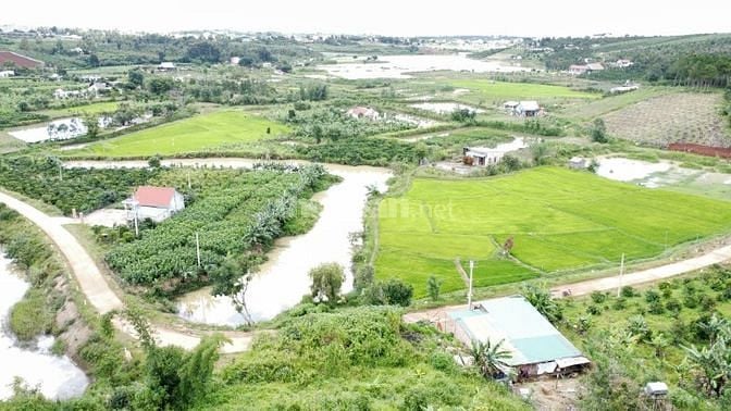 Đất view hồ Thanh Bạch 15m mặt đường bê tông cách ql20 800m