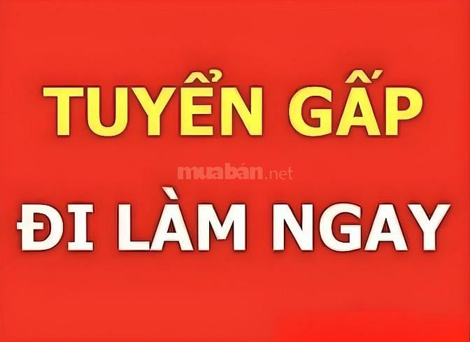 Cần tìm người làm LĐPT: phụ đóng gói và bán hàng ,dán tem