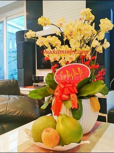 TỔNG GIẢM 2 LẦN 8TỶ - BIỆT THỰ  MT VIP ĐẢO KIM CƯƠNG Q.2
