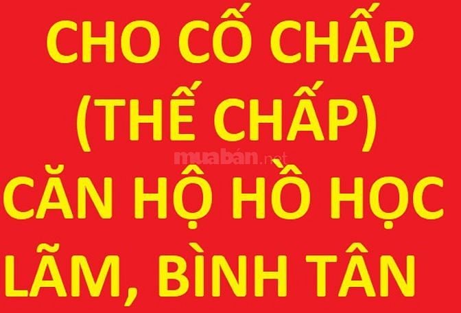 Cho cố chấp (thế chấp) căn hộ chung cư Ehome Hồ Học Lãm, Bình Tân
