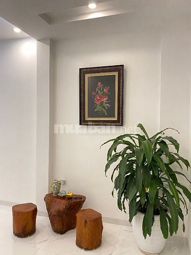Bán nhà 41 m2 x6 tầng thang máy, số 45A ngõ 173 phố Hoàng Hoa Thám