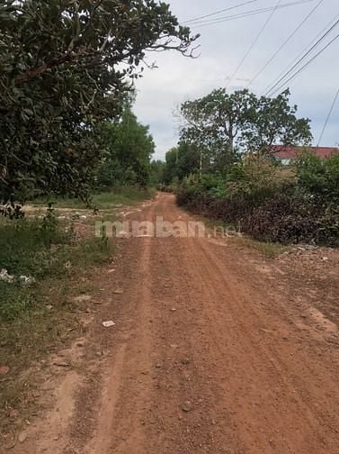 Bán đất sào, 9x110m, 200m2 thổ cư, giá 2 tỷ, Tân Phước, La Gi