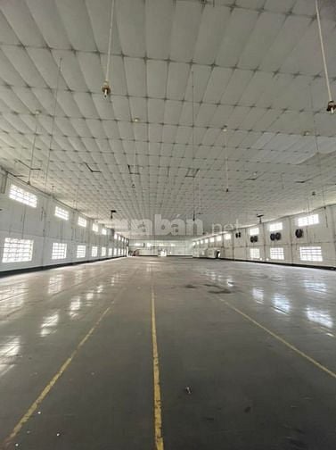 Cho thuê nhà xưởng chứa hàng, sản xuất tại đường Tân Thới Nhất 8, Q.12