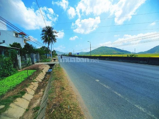 Bán đất mặt tiền Quốc lộ 1A, Vĩnh Phương, Nha Trang giá tốt 1 tỷ 850
