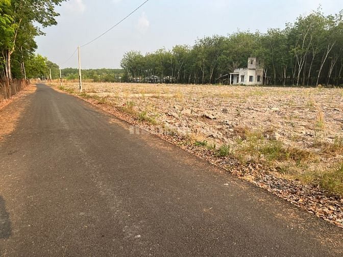 690 triệu 250m.SHR.GPXD.xây tự do