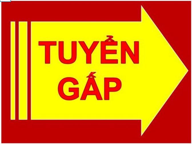 Công ty TNHH Thực Phẩm Arohana tuyến gấp đầu bếp nấu món Ấn Độ
