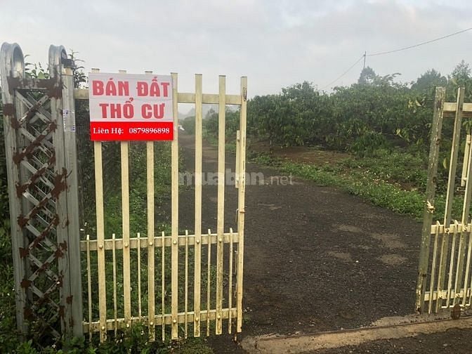 Bán đất thổ cư gần đường quốc lộ 20, xã Lộc Châu 