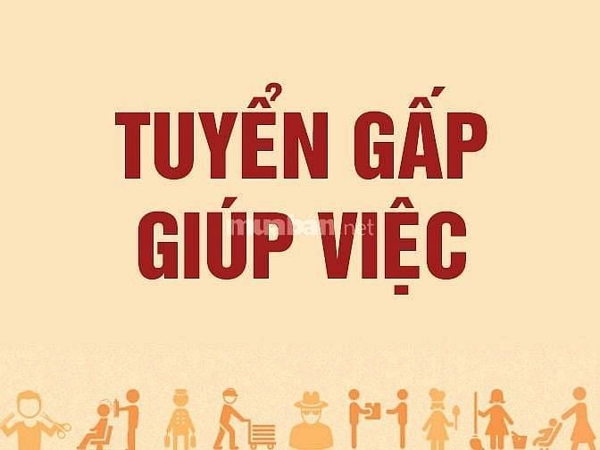 GẤP GẤP, ĐI LÀM NGAY nữ tạp vụ văn phòng, đi chợ nấu ăn cho nhân viên