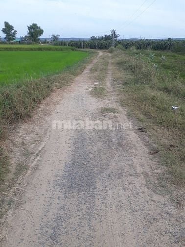 Đất Hàm Thắng, 500tr 1 Sào,  Cách TT Phan Thiết 15 phút