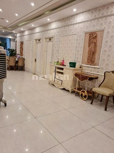 Chuyên giấy dán tường nhập khẩu giá rẻ