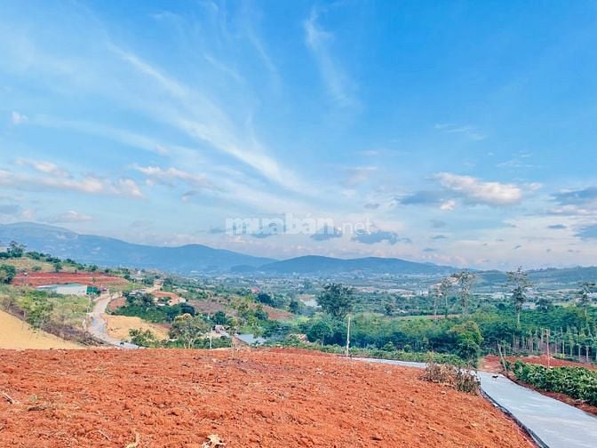 Siêu Phẩm TT Nam Ban Chỉ 2,2,tr/m2. Ngân Hàng Hỗ Trợ 50%