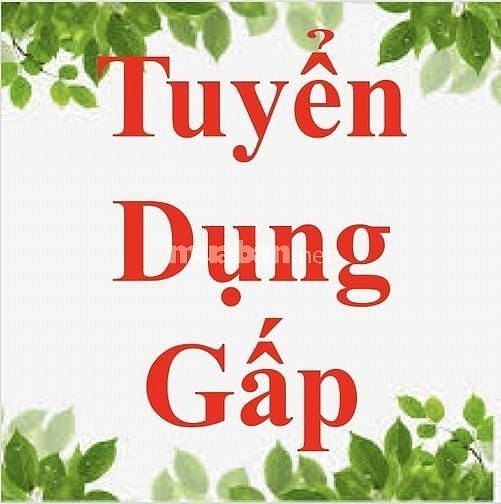 Việc làm cần bổ sung thêm nhân viên từ 23 - 60 không cần kinh nghiệm 