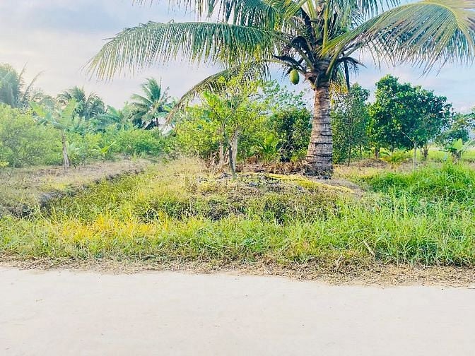 NINH AN BÊ TÔNG THỔ CƯ - 350 TRIỆU