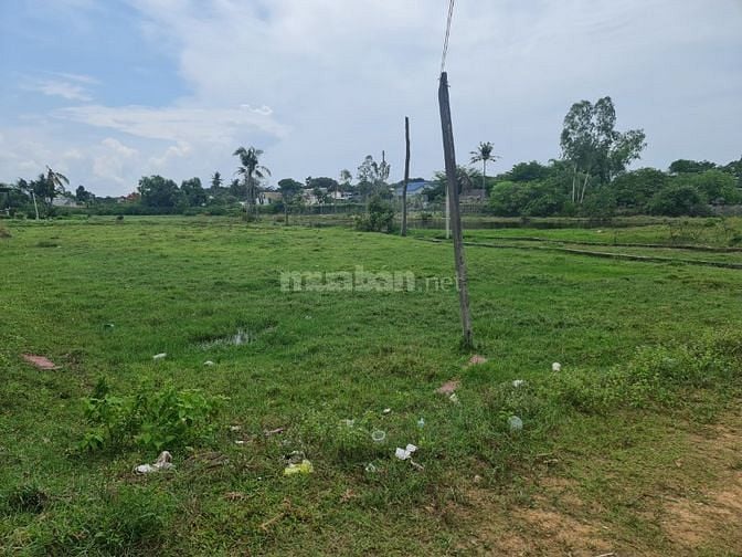 🔵 20x16(323m2)xã Tân Bình Lagi Quy Hoạch ONT Sát Biển Giá Đầu Tư 