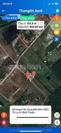 Bán đất 28x34m,khu Rừng Vàng, không dính QH, sổ sạch, Tân Bình, LaGi