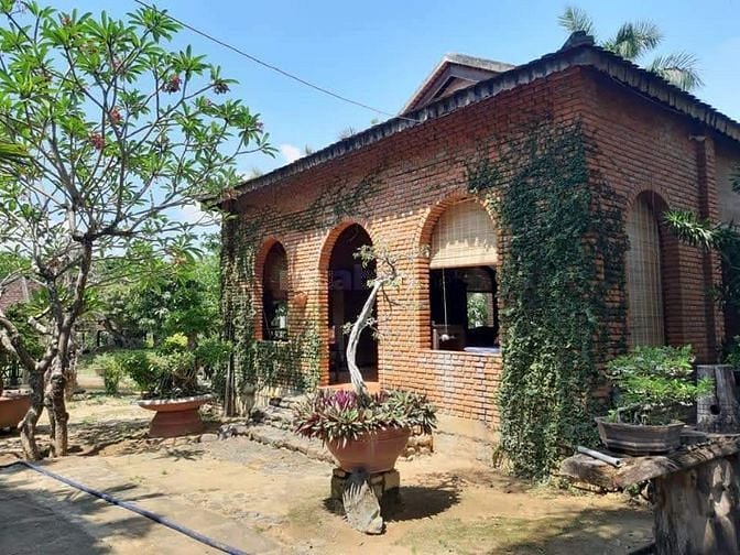 Bán Nhà Vườn 2,3 Hécta Tại Cam Lâm, Khánh Hòa