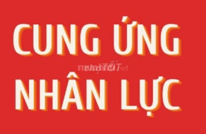 CUNG ỨNG NHÂN SỰ GIÁ RẺ, MỌI NGHÀNH NGHỀ