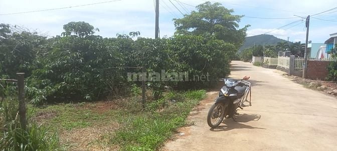 BÁN ĐẤT CHÍNH CHỦ xã Liên Hiệp, Đức Trọng, Lâm Đồng, mặt tiền 7m