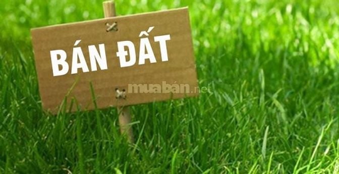 Bán đất mặt tiền kinh Bà Bửu, đường Vườn Thơm, xã Bình Lợi, BC