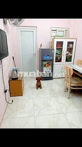 Bán nhà trung tâm quận Ba Đình. Ngõ phố Cửa Bắc, 23m2, 4 tầng