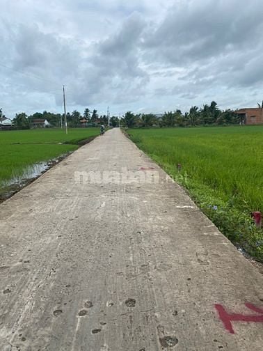 Bán đất ở  đường Nguyễn văn thọ, xã Lạc tấn, huyện Tân trụ, Long An