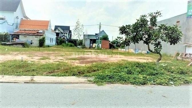 CẮT LỖ BÁN GẤP 1860M2 THỔ CƯ SHR 200 TRIỆU (GIÁ 100%) CÁCH CHỢ 400M