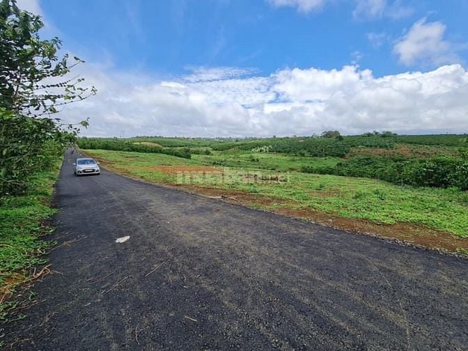 CHÍNH CHỦ BÁN LÔ ĐẤT 11*49 TP BẢO LỘC