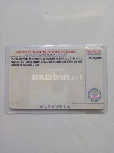 Cần tìm việc lái xe, gplx hạng C 