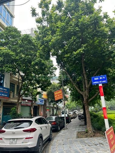  Bán nhà số 61 ngách 202 phố Cổ Linh và  nhà mặt ngõ 390 Nguyễn Văn Cừ
