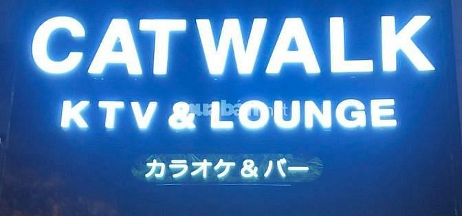 Tuyển nhân viên Nữ phục vụ Counter Bar & KTV 