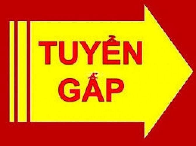 TUYỂN GẤP 3NV TUỔI 25 - 45, KHU VỰC Q.ĐỐNG ĐA - PHỎNG VẤN ĐI LÀM NGAY.