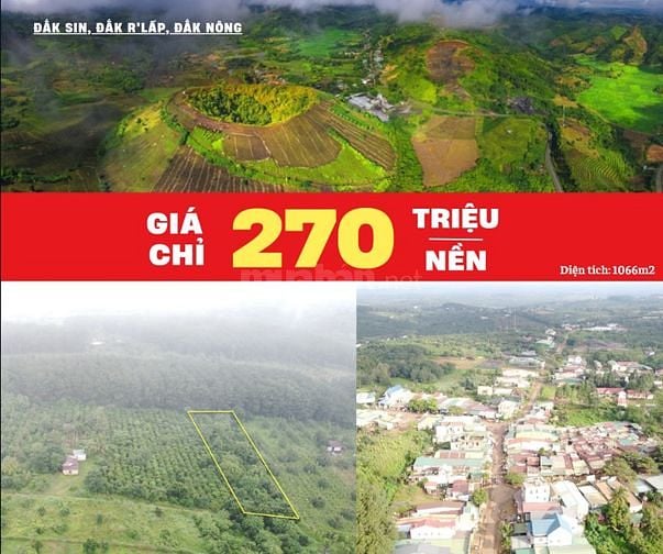 Bán rẻ hơn 1 sào đất trồng cafe, cây ăn trái chỉ 253 ngàn/m2